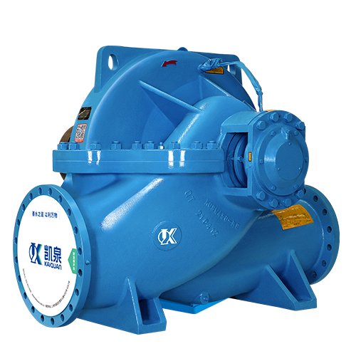 Double Suction Pump